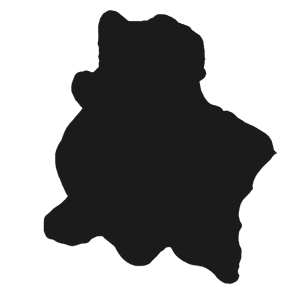 Jatinangor