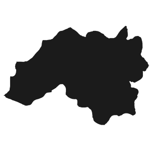 Tomo